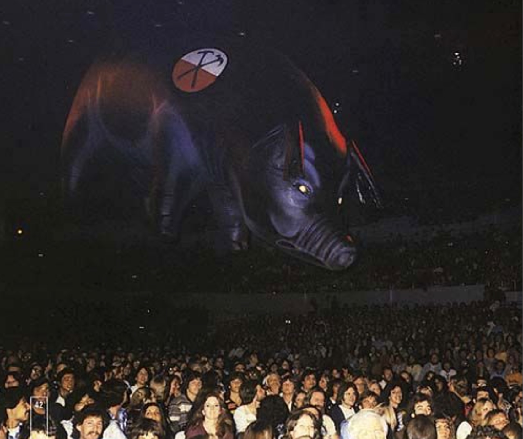 Pig over a London concert